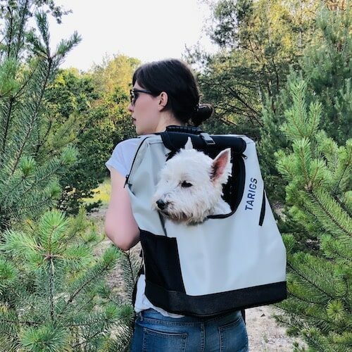 Woman carries Westie in dog carrier backpack from TARIGS - Hiking backpack for dogs