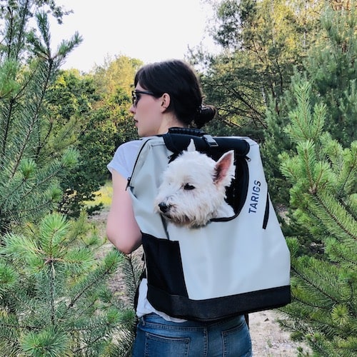 Woman carries Westie in dog carrier backpack from TARIGS - Hiking backpack for dogs