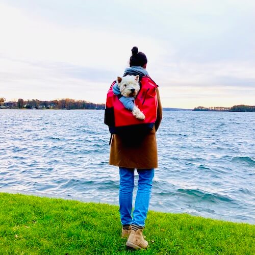 Frau mit West Highland White Terrier in rotem Hunderucksack