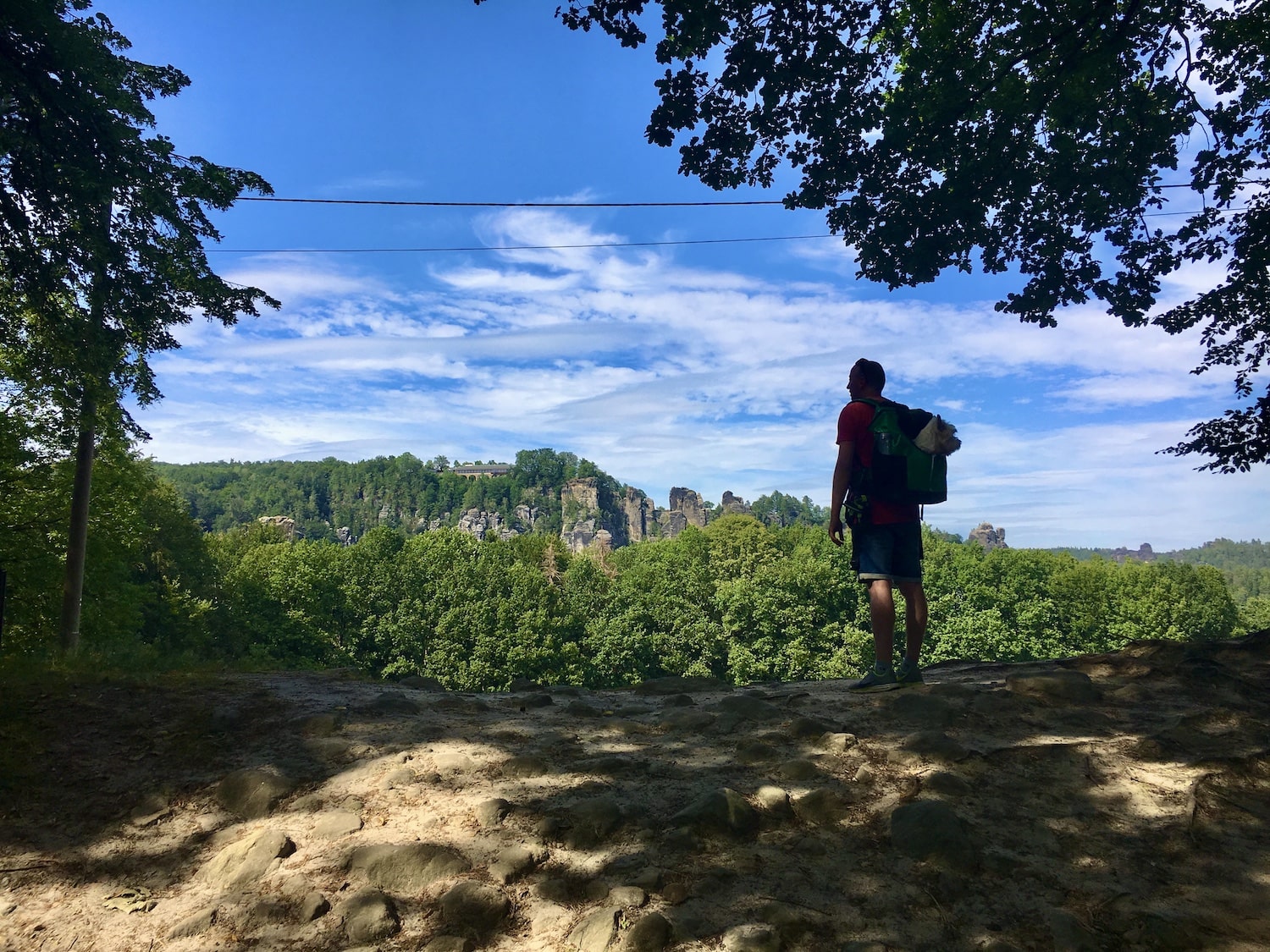 Man standing on a mountain enjoying the view with dog in backpack