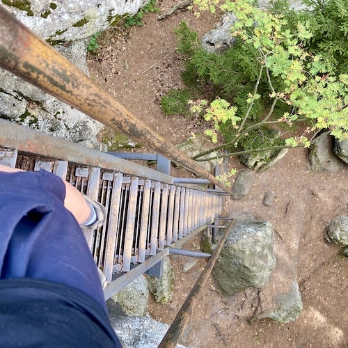 Escaleras largas y empinadas en una excursión con el perro