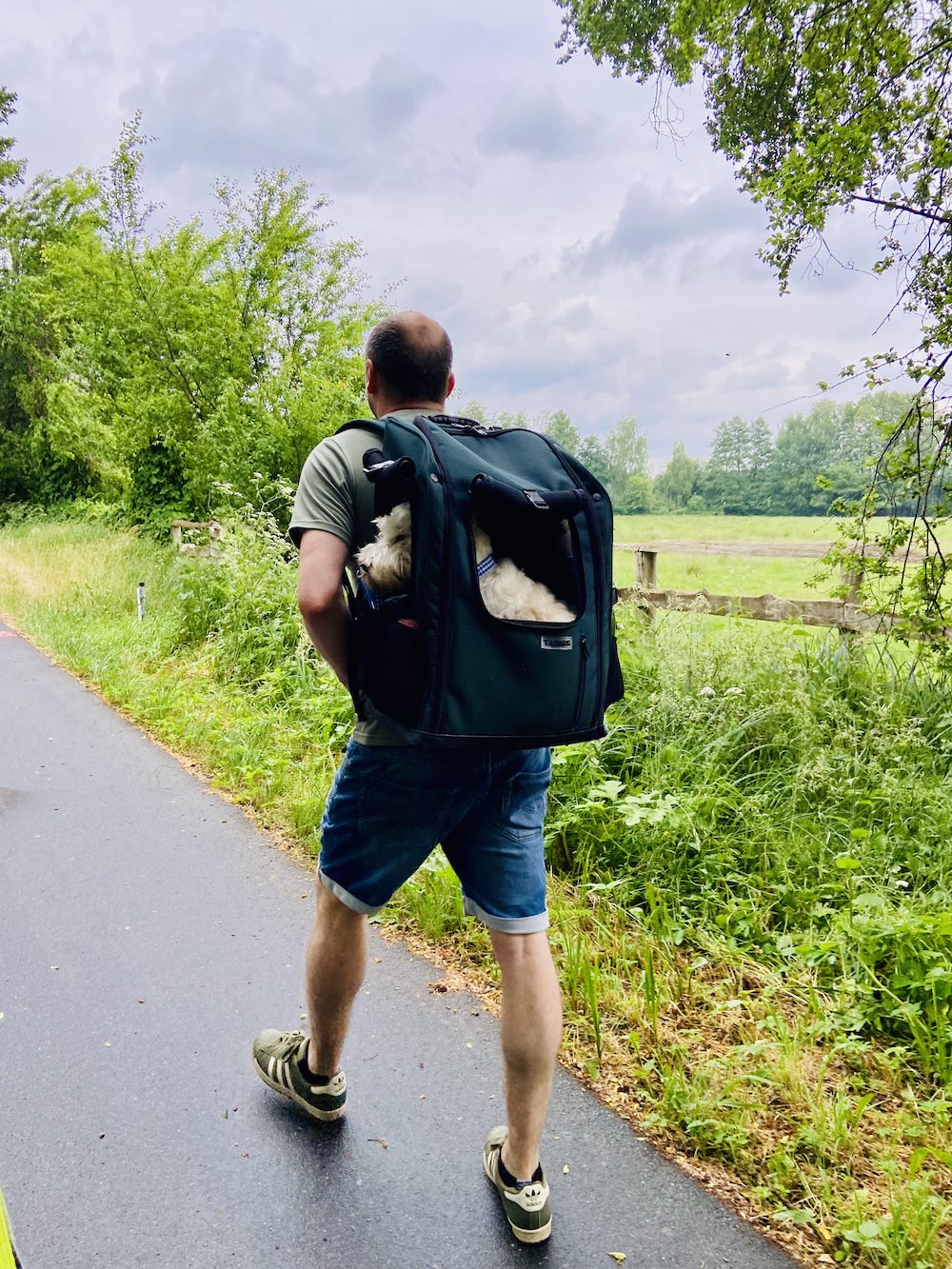 Dog backpack or dog stroller