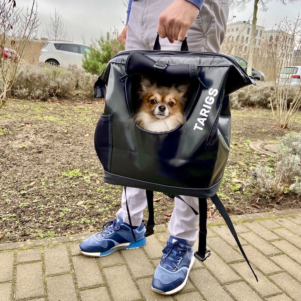 Dog backpack for Chihuahua
