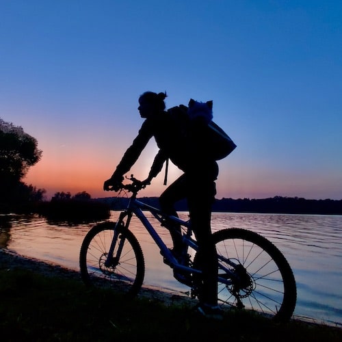 Dog backpack for cycling