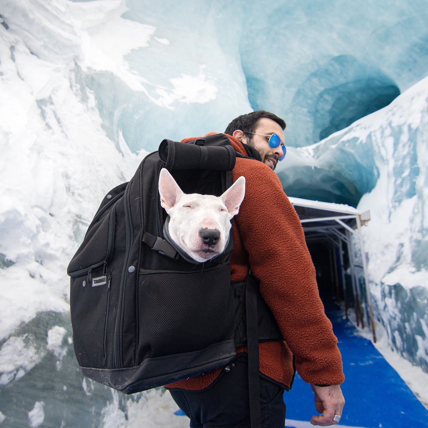 Dog backpack 16 kg