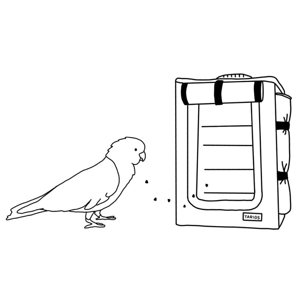 2. walk into the backpack