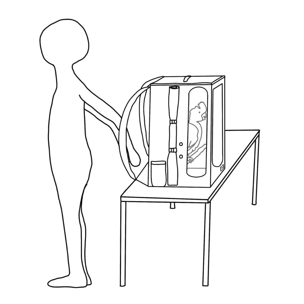 4. put on the rucksack
