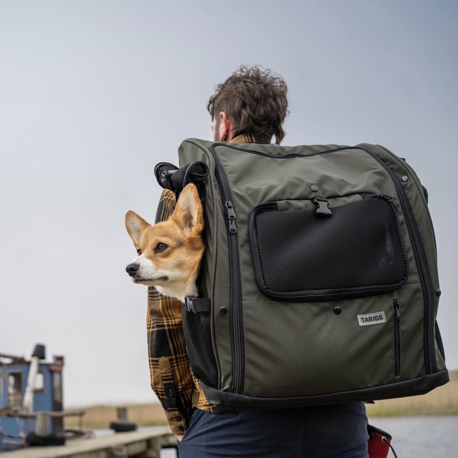 Corgi Riley rests in the Dachshund Backpack in size Maxi (L)