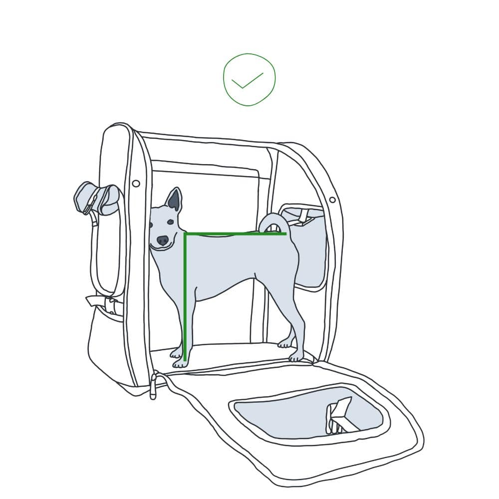 Illustration eines quadratischen Hundes, der perfekt in einen PeakStone Backpack Rucksack passt, um die richtige Passform zu veranschaulichen.