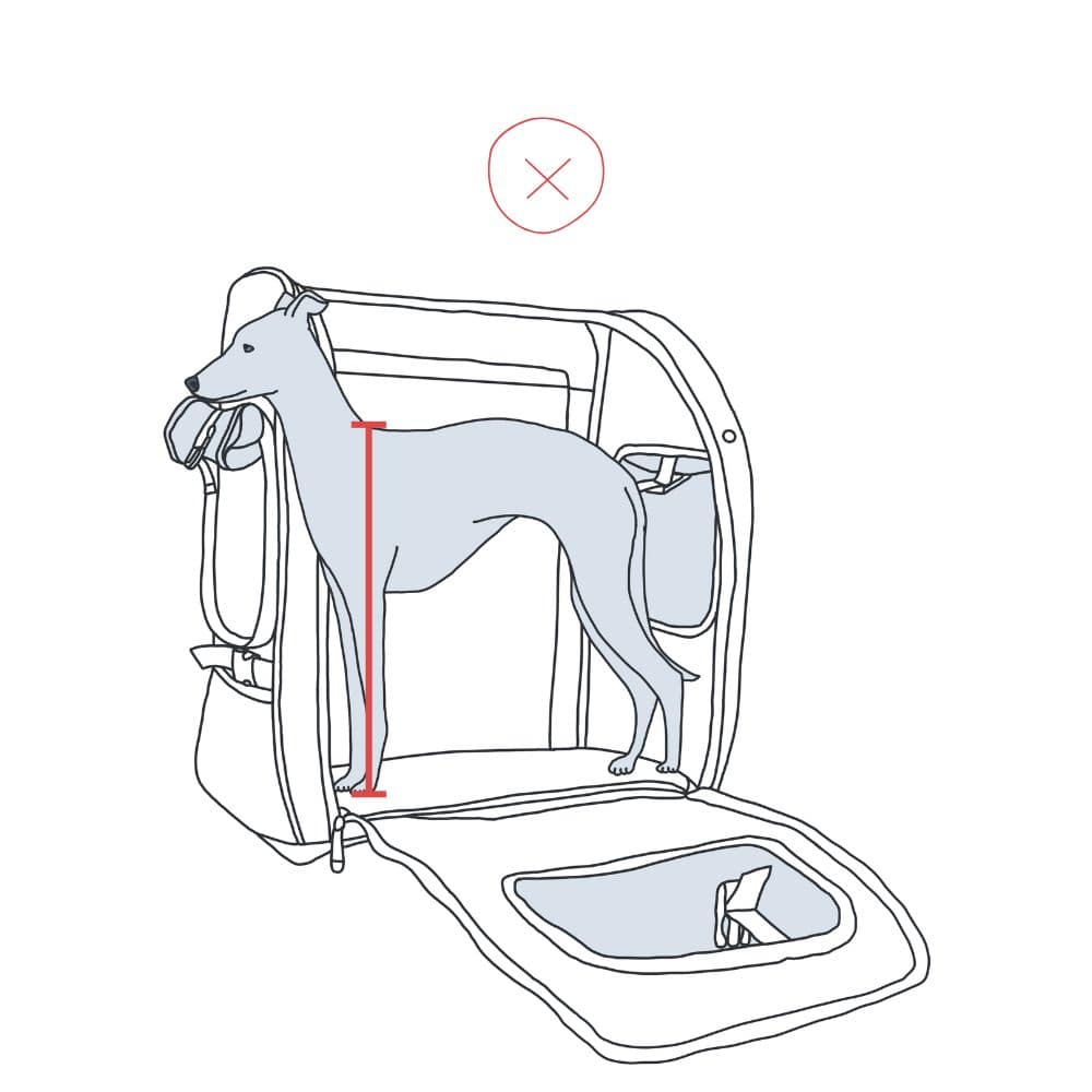 Illustration eines Hundes mit zu hoher Schulterhöhe im Rucksack, der zeigt, dass der Hund nicht hineinpasst.