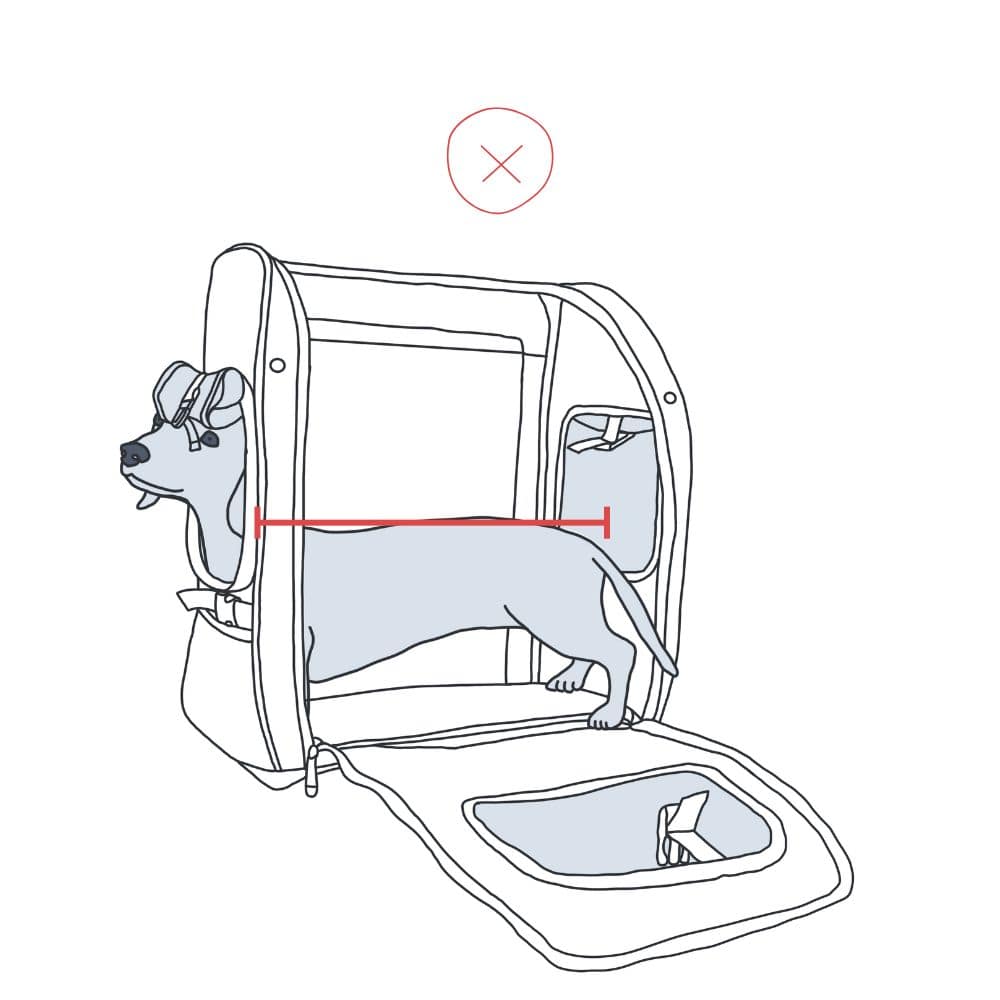 Illustration eines niedrigen, aber sehr langen Hundes, der nicht in den Rucksack passt.