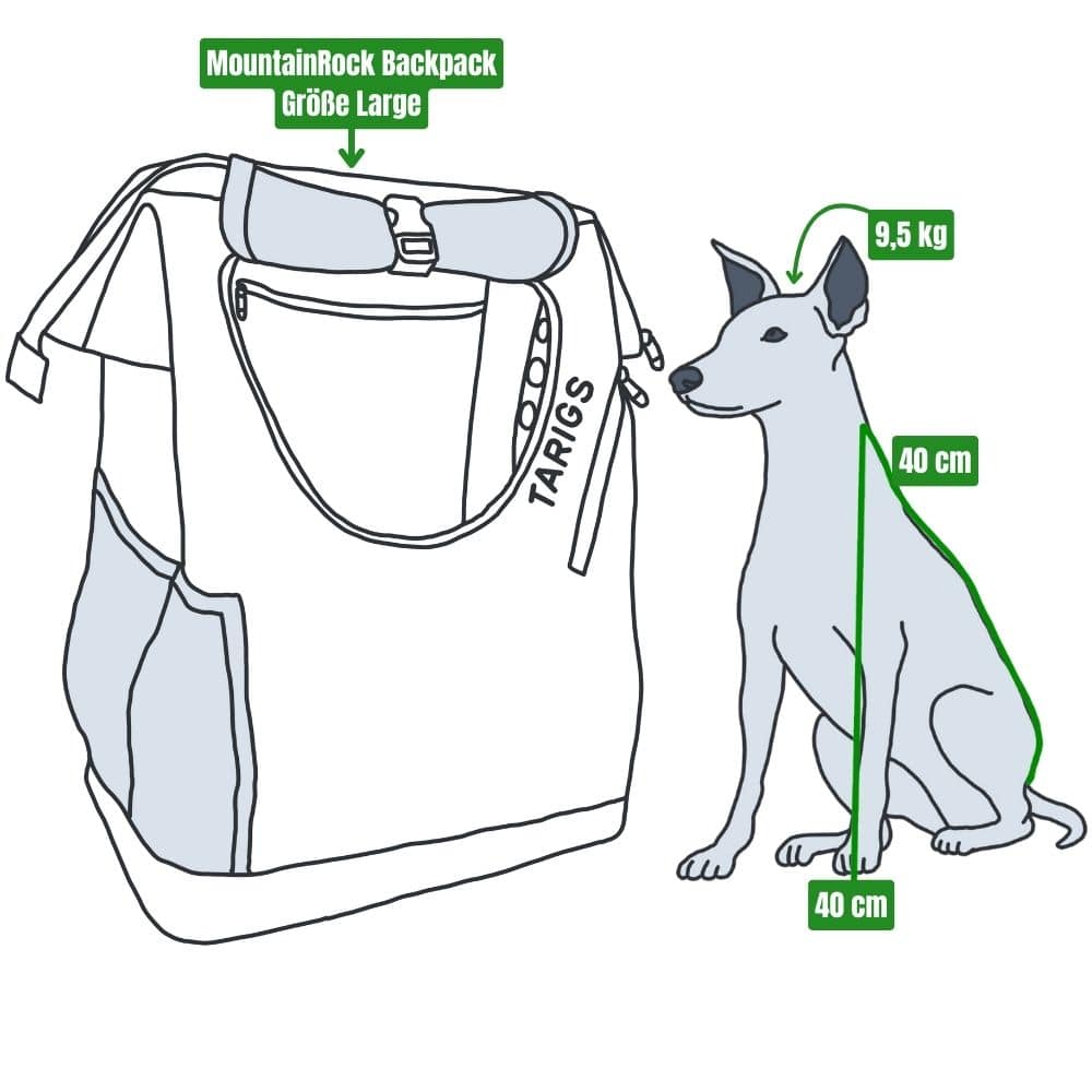 Illustration eines Hunderucksacks und eines sitzenden Hundes daneben, der die proportionalen Größenverhältnisse zeigt.