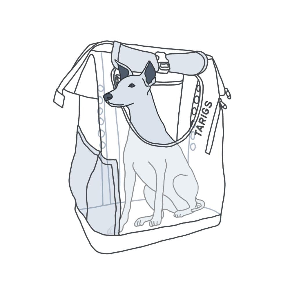 Illustration eines Hundes, der in einem anderen Rucksack-Stil sitzt.