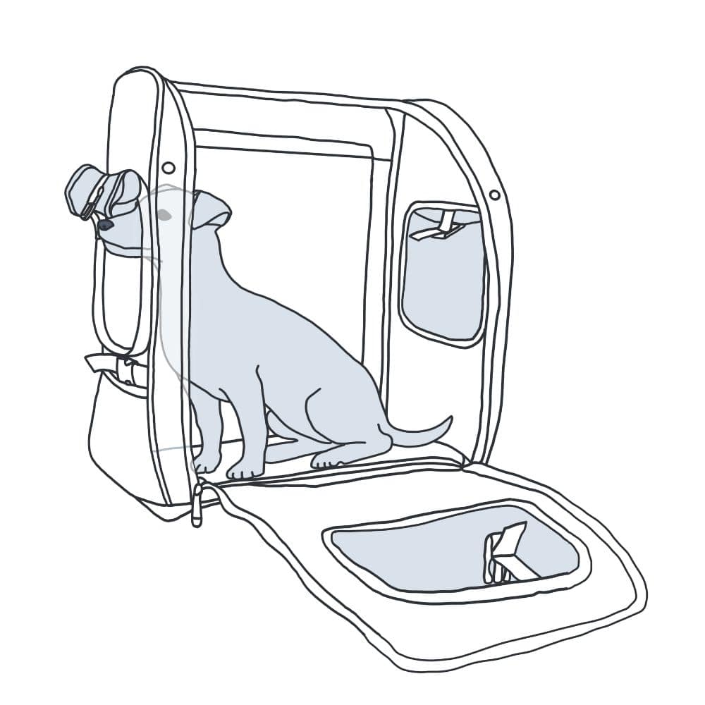 Illustration eines Hundes, der aufrecht im Rucksack sitzt und hinausschaut.