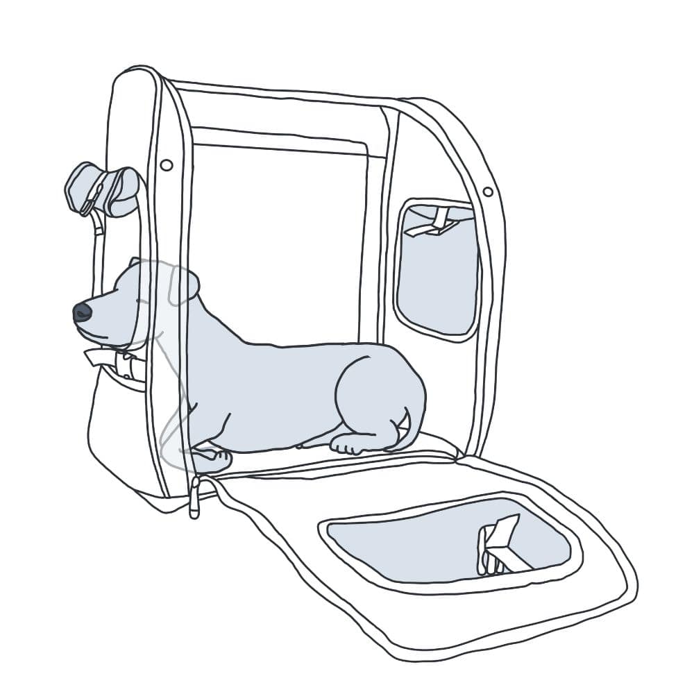 Illustration eines liegenden Hundes im Rucksack.