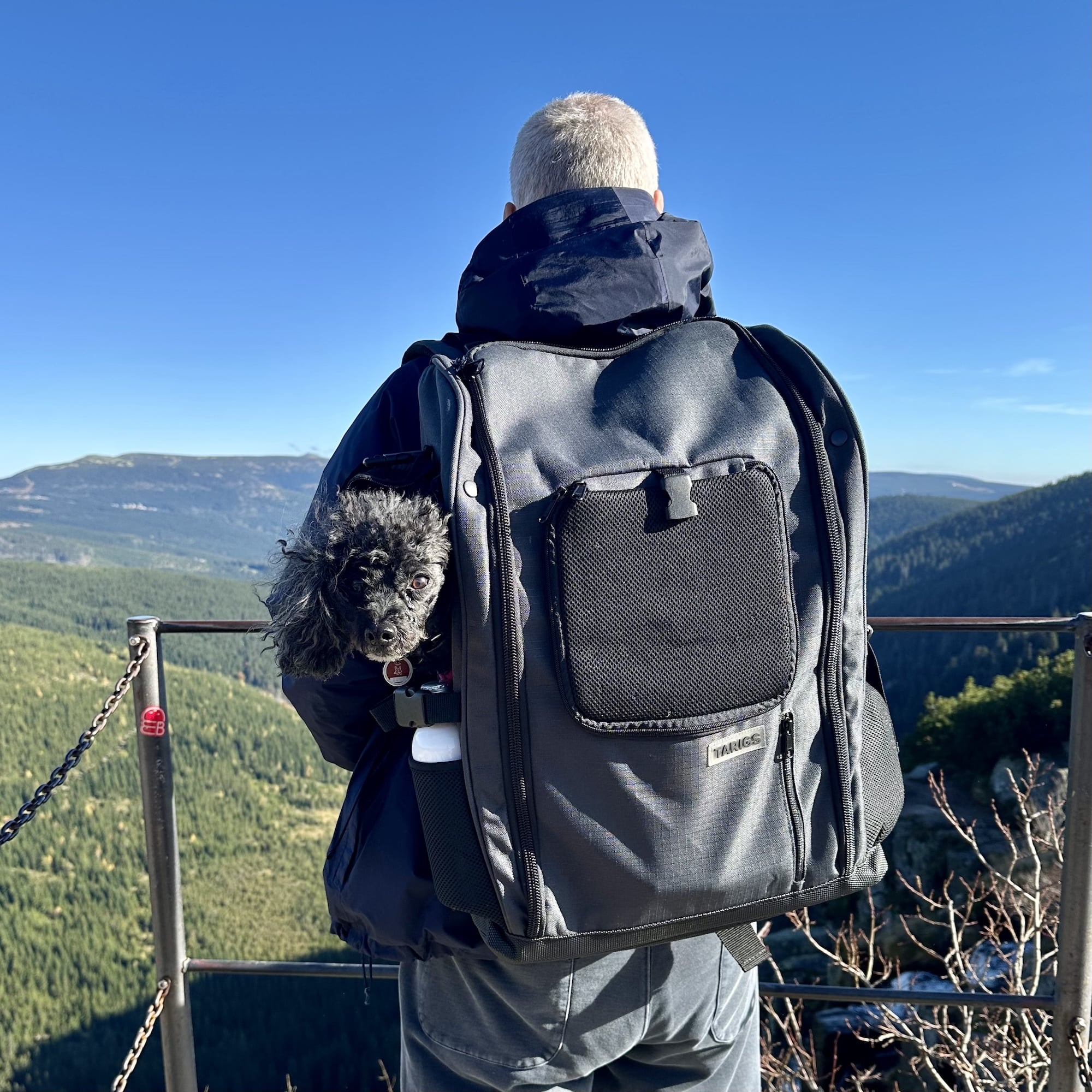 Toy poodle Lilly sits in the medium-sized PeakStone backpack and enjoys the hike.